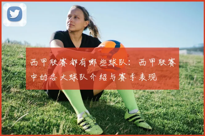 西甲联赛都有哪些球队：西甲联赛中的各大球队介绍与赛季表现