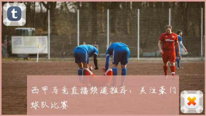 西甲马竞直播频道推荐，关注豪门球队比赛