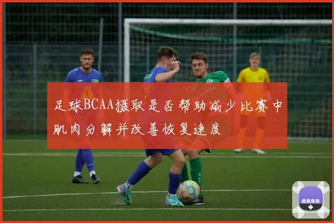 足球BCAA摄取是否帮助减少比赛中肌肉分解并改善恢复速度