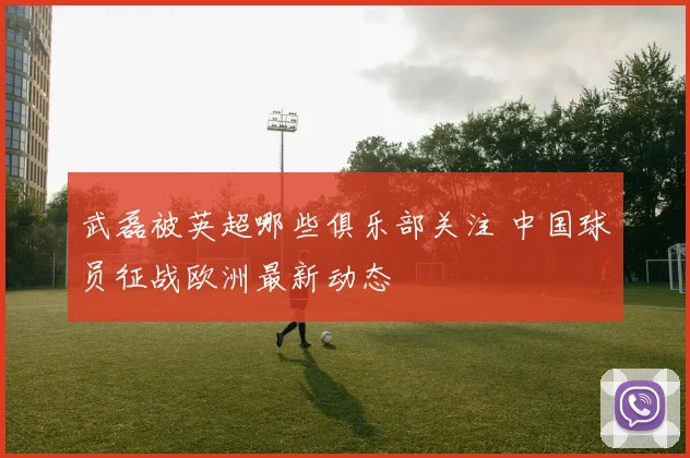 武磊被英超哪些俱乐部关注 中国球员征战欧洲最新动态